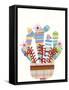 Cheerful Succulent VI-Regina Moore-Framed Stretched Canvas