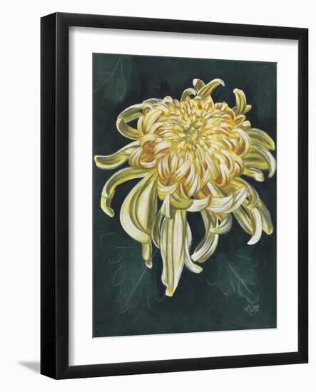 Cheerfulness-Barbara Keith-Framed Giclee Print