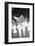 Cheerleaders at the Minnesota- Iowa Game, Minneapolis, Minnesota, November 1960-Francis Miller-Framed Photographic Print