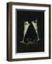 Cheers! III-Pamela Gladding-Framed Art Print