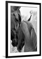 Cheers n’ Foal-Barry Hart-Framed Giclee Print