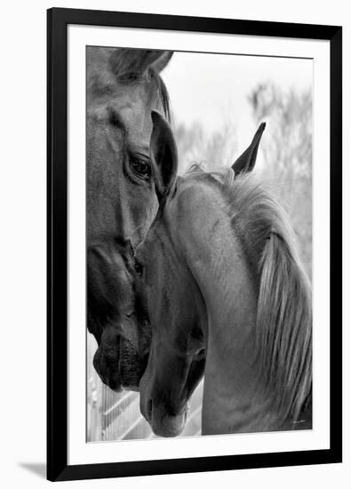 Cheers n’ Foal-Barry Hart-Framed Giclee Print