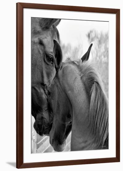 Cheers n’ Foal-Barry Hart-Framed Giclee Print