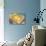 Cheese and Cracker Plate-null-Stretched Canvas displayed on a wall