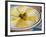 Cheese and Olives, Istria, Croatia-Russell Young-Framed Photographic Print