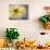 Cheese and Olives, Istria, Croatia-Russell Young-Photographic Print displayed on a wall