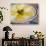 Cheese and Olives, Istria, Croatia-Russell Young-Photographic Print displayed on a wall