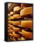 Cheese at Heidi Farm,Tasmania, Australia-John Hay-Framed Stretched Canvas