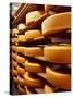 Cheese at Heidi Farm,Tasmania, Australia-John Hay-Stretched Canvas