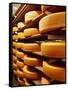 Cheese at Heidi Farm,Tasmania, Australia-John Hay-Framed Stretched Canvas