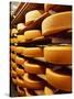 Cheese at Heidi Farm,Tasmania, Australia-John Hay-Stretched Canvas