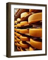 Cheese at Heidi Farm,Tasmania, Australia-John Hay-Framed Photographic Print