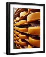 Cheese at Heidi Farm,Tasmania, Australia-John Hay-Framed Photographic Print