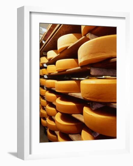 Cheese at Heidi Farm,Tasmania, Australia-John Hay-Framed Photographic Print