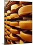 Cheese at Heidi Farm,Tasmania, Australia-John Hay-Mounted Photographic Print