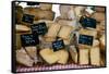 Cheese for Sale at a Market Stall, Lourmarin, Vaucluse, Provence-Alpes-Cote D'Azur, France-null-Framed Stretched Canvas
