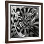 Cheese Holes-Gilbert Claes-Framed Photographic Print