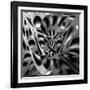 Cheese Holes-Gilbert Claes-Framed Photographic Print