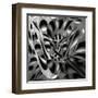 Cheese Holes-Gilbert Claes-Framed Premium Photographic Print