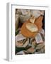 Cheese in the Market, Ajaccio, Corsica, France-Yadid Levy-Framed Photographic Print