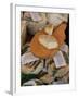 Cheese in the Market, Ajaccio, Corsica, France-Yadid Levy-Framed Photographic Print