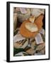 Cheese in the Market, Ajaccio, Corsica, France-Yadid Levy-Framed Photographic Print