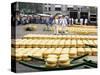 Cheese Market, Alkmaar, Holland-Roy Rainford-Stretched Canvas