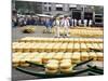 Cheese Market, Alkmaar, Holland-Roy Rainford-Mounted Photographic Print