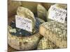 Cheese on Market Stall, Cours Massena, Old Town, Vieil Antibes, Antibes, Cote D'Azur, French Rivier-Wendy Connett-Mounted Photographic Print