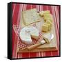 Cheese Selection-David Munns-Framed Stretched Canvas