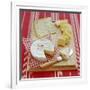 Cheese Selection-David Munns-Framed Photographic Print