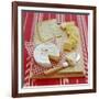 Cheese Selection-David Munns-Framed Photographic Print