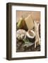 Cheese Still Life with Pears, Fig and Grissini on Wicker Plate-Foodcollection-Framed Photographic Print