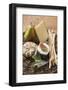 Cheese Still Life with Pears, Fig and Grissini on Wicker Plate-Foodcollection-Framed Photographic Print