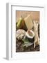 Cheese Still Life with Pears, Fig and Grissini on Wicker Plate-Foodcollection-Framed Photographic Print