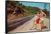 Cheesecake Hitching to Ozarks-null-Framed Stretched Canvas