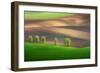 Cheestnut Family-Marcin Sobas-Framed Photographic Print