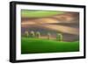 Cheestnut Family-Marcin Sobas-Framed Photographic Print