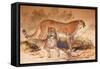 Cheetah, 1851-52-Joseph Wolf-Framed Stretched Canvas