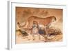 Cheetah, 1851-52-Joseph Wolf-Framed Giclee Print