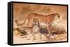 Cheetah, 1851-52-Joseph Wolf-Framed Stretched Canvas