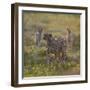 Cheetah (Acinonyx Jubatus) and Jackals in Forest, Ndutu, Ngorongoro Conservation Area, Tanzania-null-Framed Photographic Print