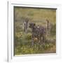 Cheetah (Acinonyx Jubatus) and Jackals in Forest, Ndutu, Ngorongoro Conservation Area, Tanzania-null-Framed Photographic Print