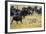 Cheetah (Acinonyx Jubatus) Chasing Wildebeests, Tanzania-null-Framed Photographic Print