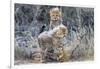 Cheetah (Acinonyx jubatus) cubs, Kgalagadi Transfrontier Park, Northern Cape, South Africa, Africa-Ann and Steve Toon-Framed Photographic Print