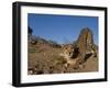 Cheetah, Acinonyx Jubatus, Duesternbrook Private Game Reserve, Windhoek, Namibia, Africa-Thorsten Milse-Framed Photographic Print