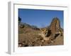 Cheetah, Acinonyx Jubatus, Duesternbrook Private Game Reserve, Windhoek, Namibia, Africa-Thorsten Milse-Framed Photographic Print