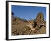 Cheetah, Acinonyx Jubatus, Duesternbrook Private Game Reserve, Windhoek, Namibia, Africa-Thorsten Milse-Framed Photographic Print