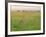 Cheetah (Acinonyx Jubatus) in the Grass, Maasai Mara National Reserve, Kenya-Keren Su-Framed Photographic Print