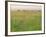 Cheetah (Acinonyx Jubatus) in the Grass, Maasai Mara National Reserve, Kenya-Keren Su-Framed Photographic Print